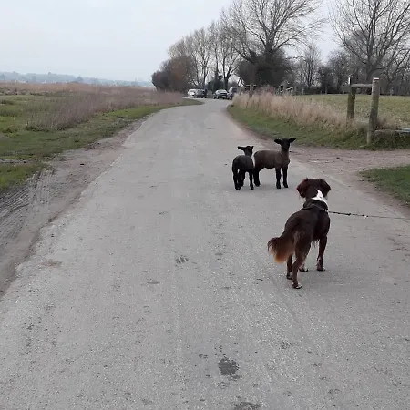 Frühstückspension Les Vallees Saint-Quentin-sur-le-Homme