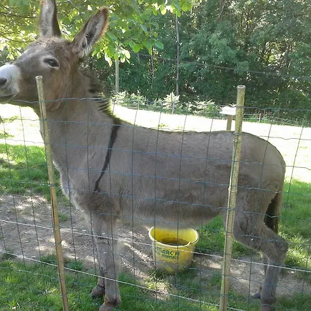 Les Vallées Bed and breakfast