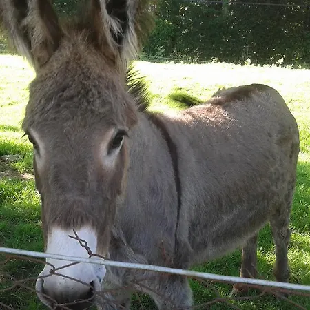 Les Vallées Bed and breakfast Saint-Quentin-sur-le-Homme