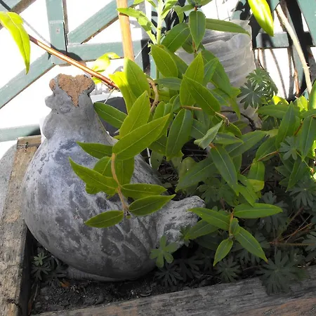 Bed and breakfast Les Vallées Saint-Quentin-sur-le-Homme