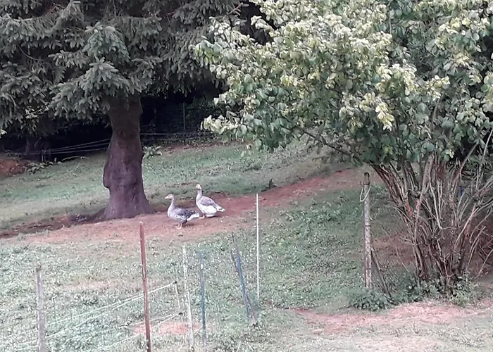 Les Vallees Bed & Breakfast 3*