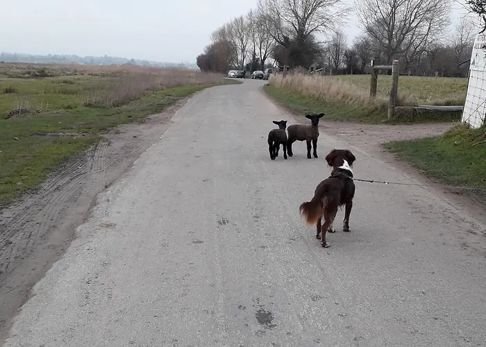 Bed & Breakfast Les Vallees Saint-Quentin-sur-le-Homme