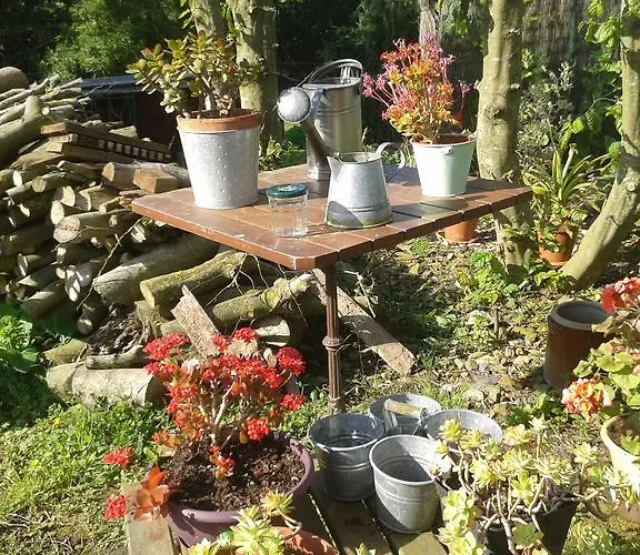 Les Vallees Bed & Breakfast Saint-Quentin-sur-le-Homme