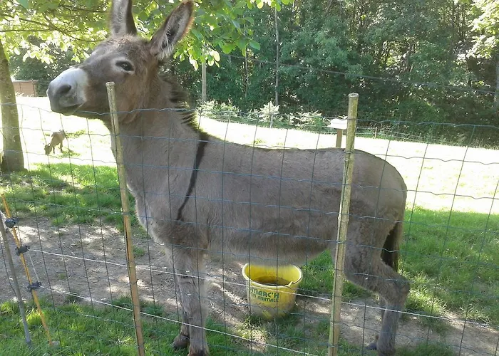 Les Vallees Bed & Breakfast