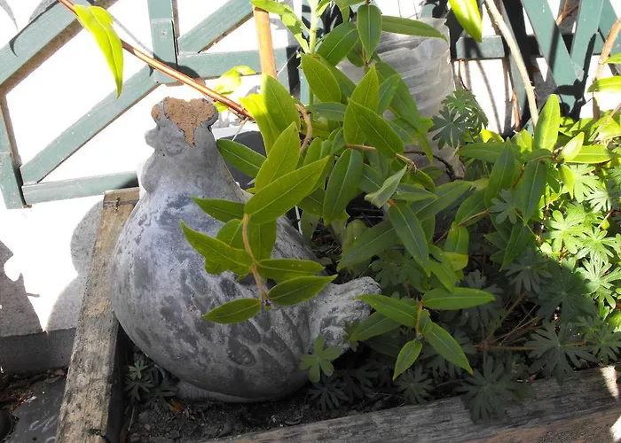 Bed & Breakfast Les Vallees Saint-Quentin-sur-le-Homme